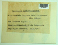 Image Associated With the Occurence